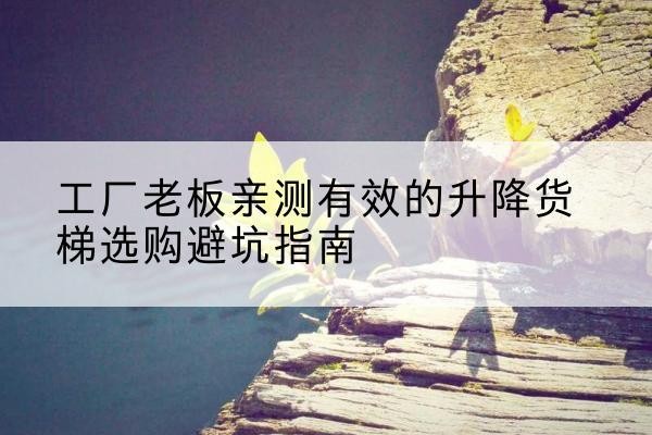 大宁升降货梯怎么选-工厂老板亲测有效的升降货梯选购避坑指南