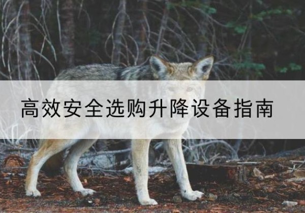 大宁升降货梯厂家推荐-*安全选购升降设备指南