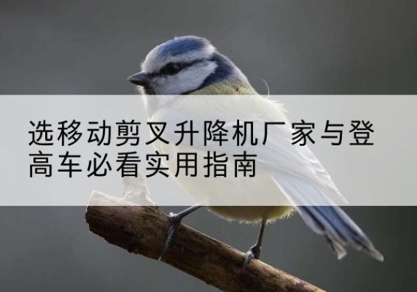 大宁电动升降机厂家-选移动剪叉升降机厂家与登高车必看实用指南