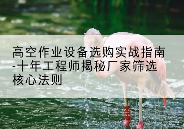 大宁剪叉式升降机厂家-高空作业设备选购实战指南-十年工程师揭秘厂家筛选核心法则